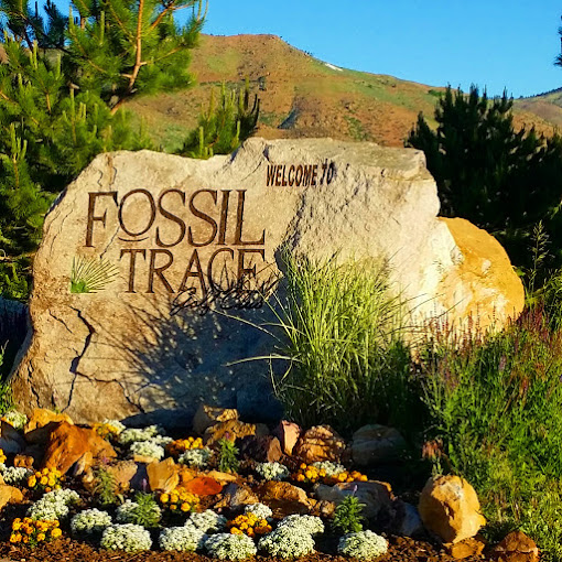 Fossil Trace 